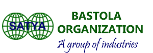 BASTOLA ORGANIZATION Logo